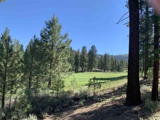 Land for sale in Portola, California