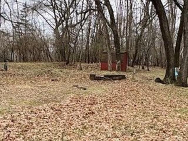 Land for sale in Sublette, Illinois