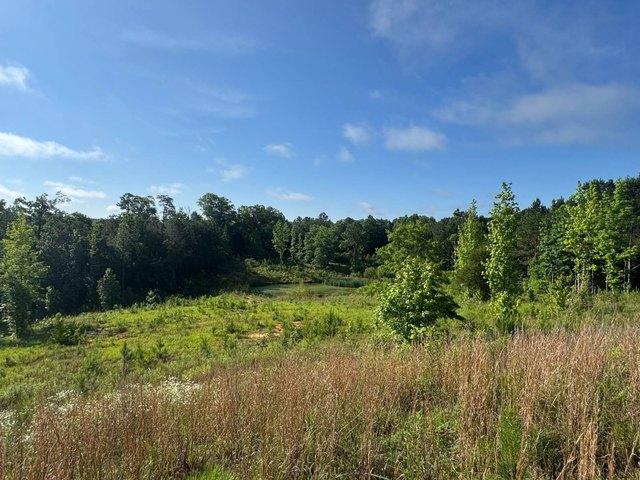 Land for sale in Berry, Alabama