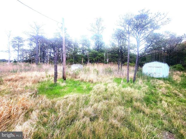 Land for sale in Dorchester, Maryland