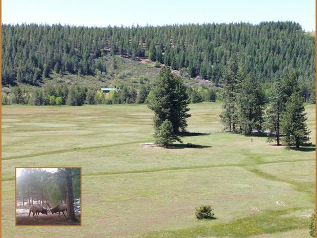 House for sale in McCloud, Siskiyou County
