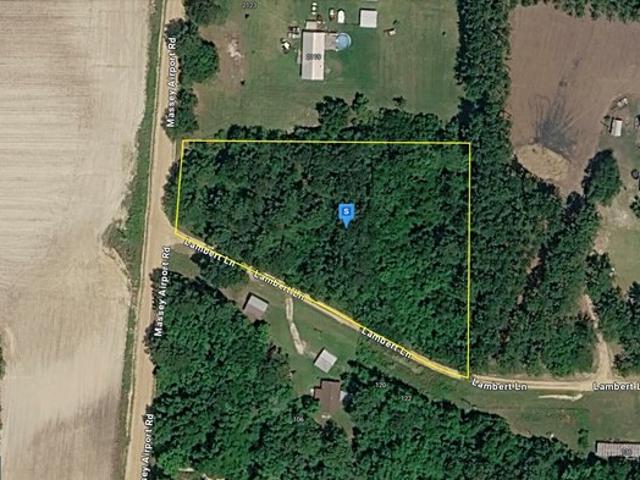 Land for sale in Sylvester, Worth County