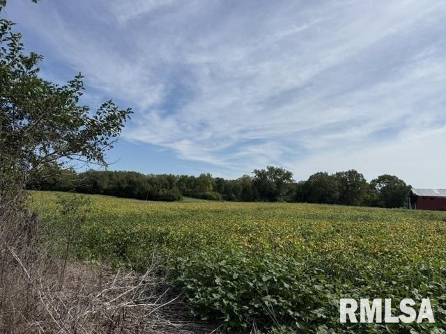 Land for sale in Trivoli, Illinois