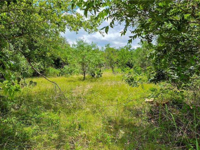Land for sale in Seguin, Texas