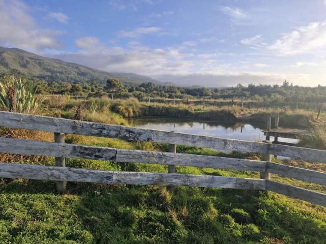 Property for sale in Fairdown, West Coast