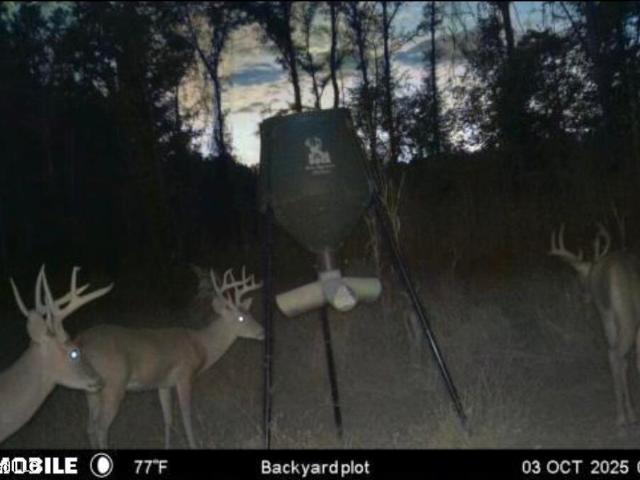 House for sale in Mississippi