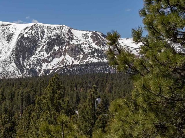 Land for sale in Mammoth Lakes, California