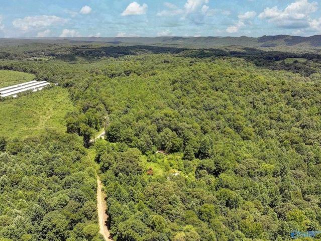 Land for sale in Etowah, Alabama