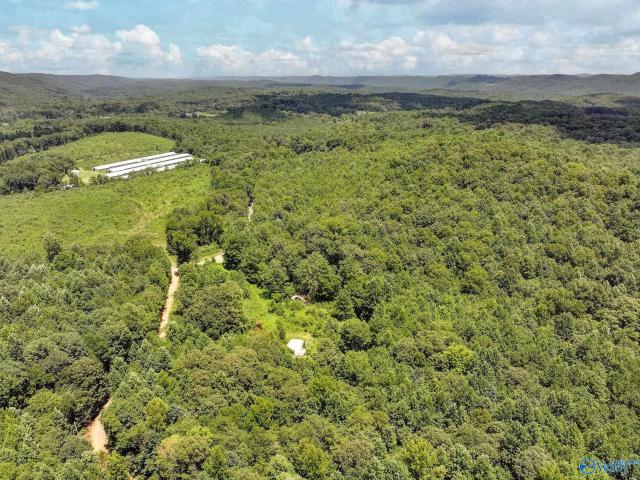 Land for sale in Etowah, Alabama