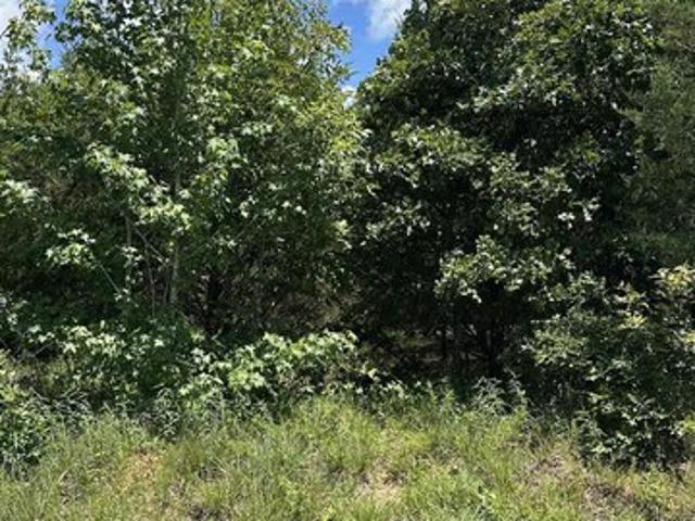 Land for sale in Ark