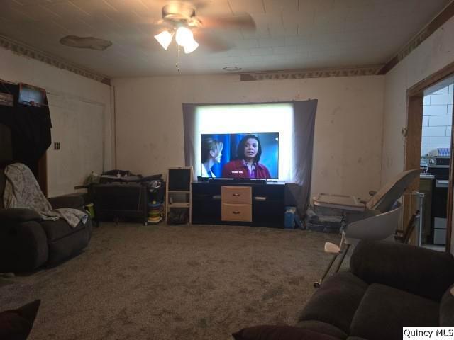House for sale in Sciota, Illinois