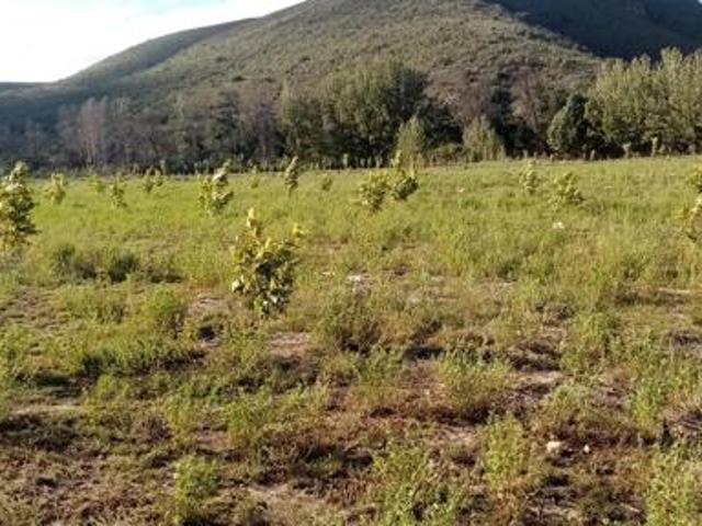 Farm for sale in Joubertina, Eastern Cape