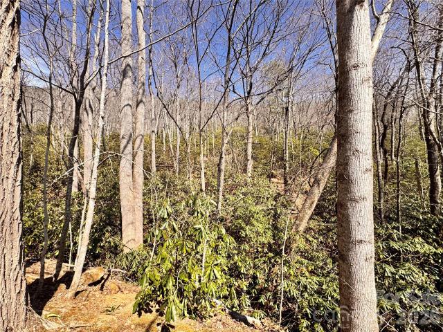 Land for sale in Montreat, North Carolina