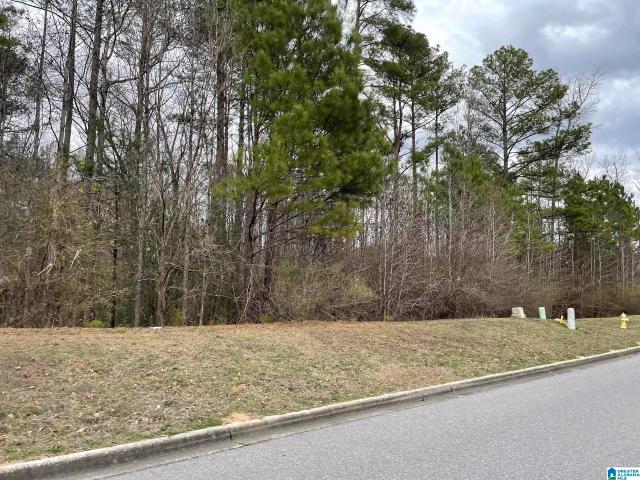 Land for sale in Alabaster, Alabama