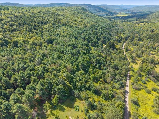 Land for sale in Worcester, New York
