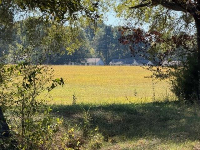 Land for sale in Decherd, Middle Tennessee