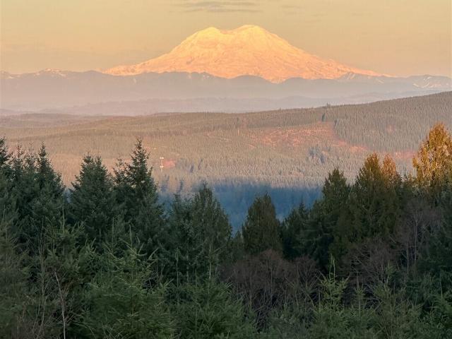 Land for sale in Castle Rock, Washington