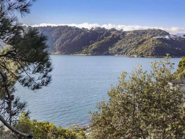 Land for sale in Matata, Wellington