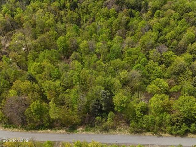 Land for sale in Nicholson, Pennsylvania