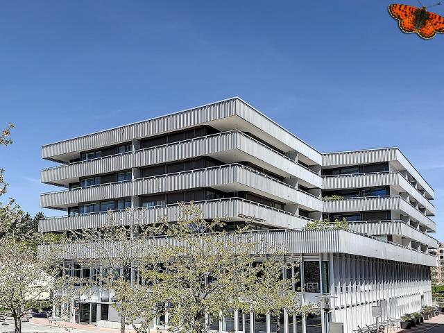 Wohnung mieten in Les Daillettes, Villars-sur-Glâne