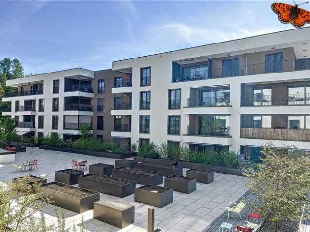 Wohnung mieten in Marly, Freiburg