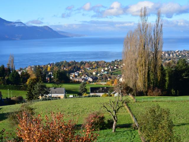 Wohnung mieten in Chailly-Montreux, Waadt