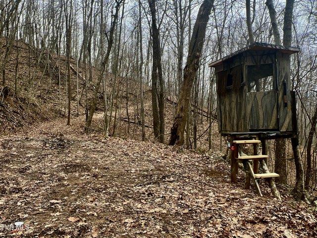 Land for sale in Rogersville, East Tennessee