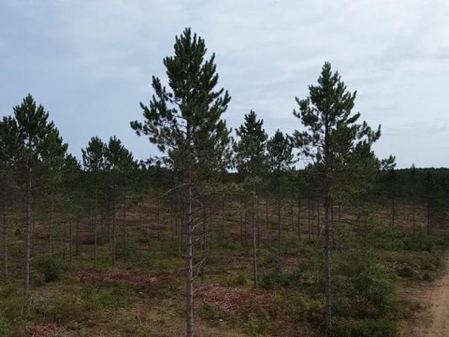 Land for sale in Wisconsin