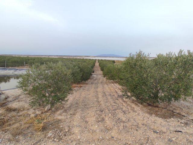 Local Comercial en venta en Majada, Bajo Guadalentín