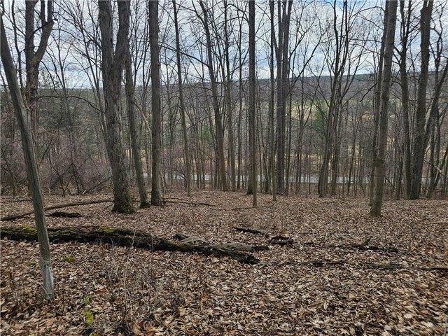 Land for sale in Penn Yan, New York