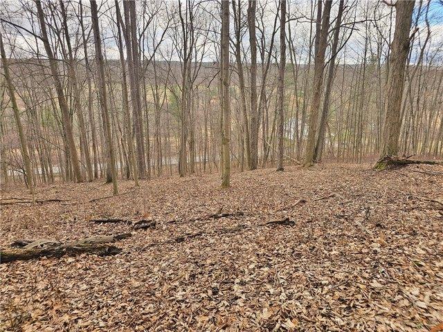 Land for sale in Penn Yan, New York