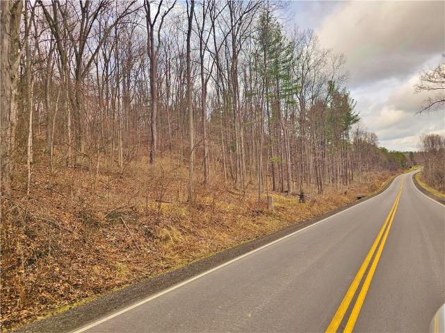 Land for sale in New York