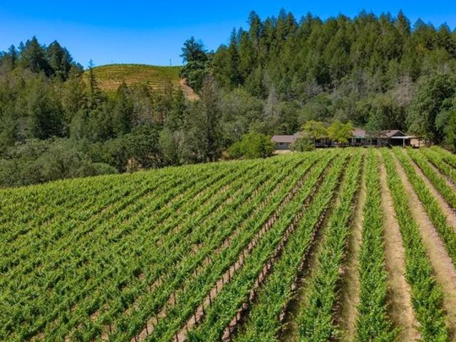 House for sale in Calistoga, California