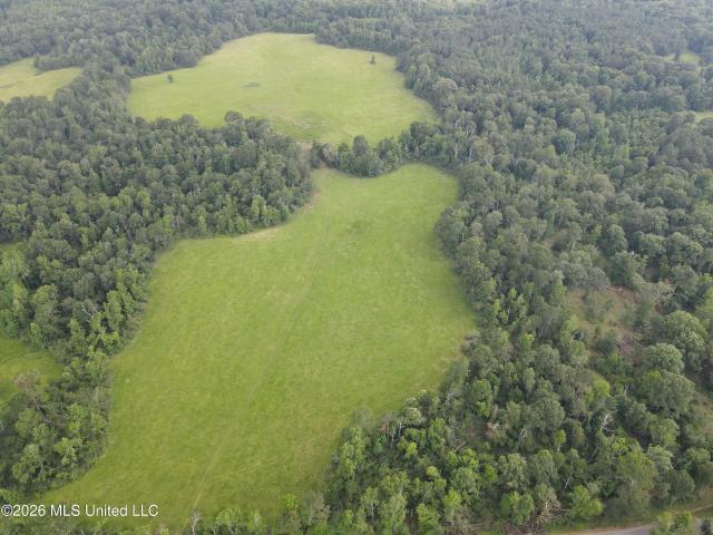 Land for sale in Bogue Chitto, Mississippi