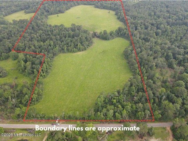 Land for sale in Bogue Chitto, Mississippi
