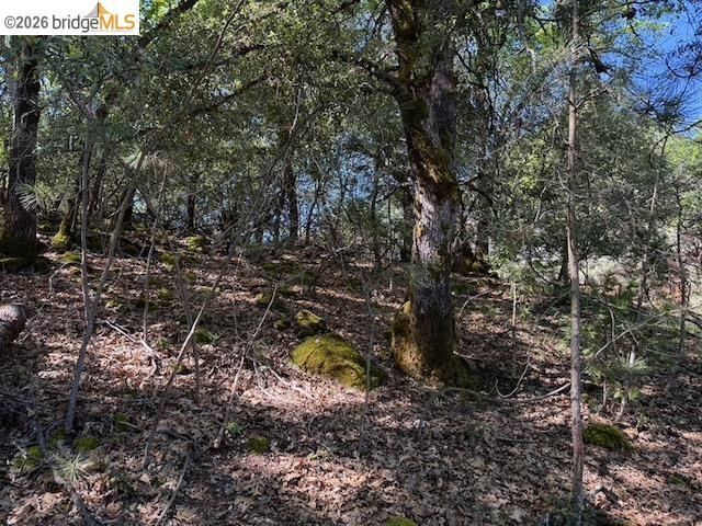 Land for sale in Sonora, California