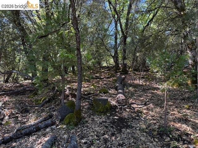 Land for sale in Sonora, California