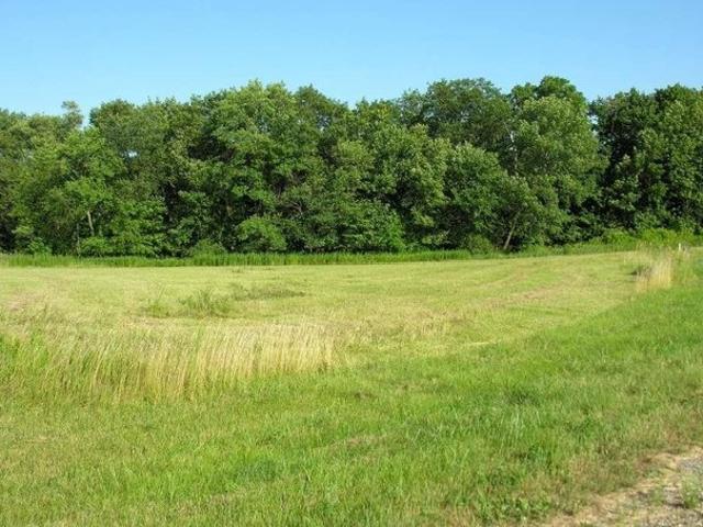 Land for sale in Osage, Iowa