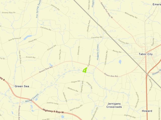 Land for sale in Green Sea, South Carolina