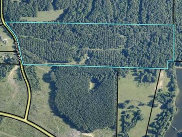 Land for sale in Georgia