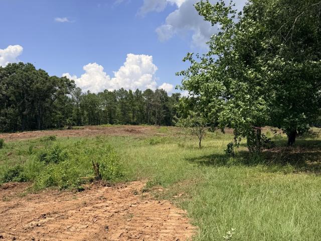 Land for sale in Georgia