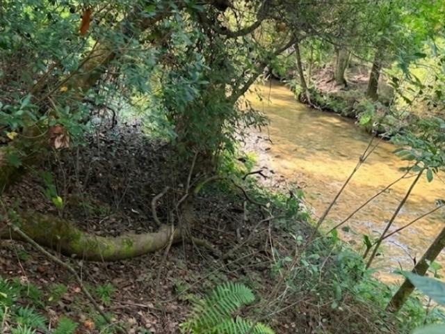Land for sale in Robertsdale, Alabama