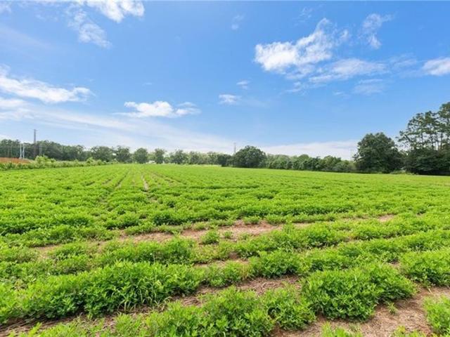 Land for sale in Silverhill, Alabama