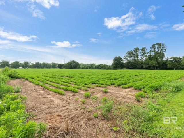 Land for sale in Silverhill, Alabama