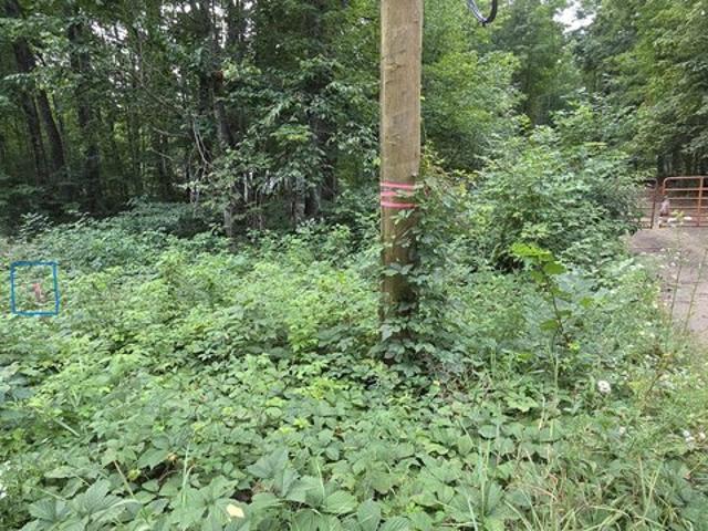 Land for sale in Vanderbilt, Michigan