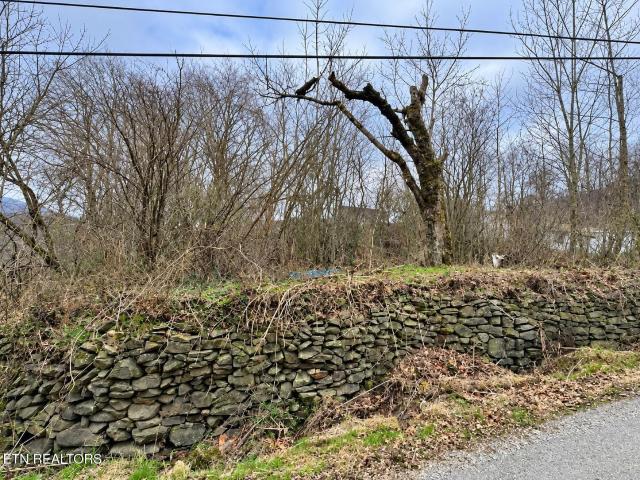 Land for sale in Briceville, East Tennessee