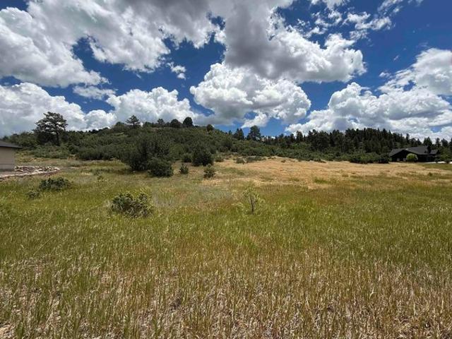 Land for sale in Pagosa Springs, Colorado