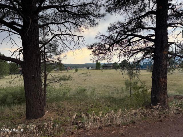 Land for sale in Arizona