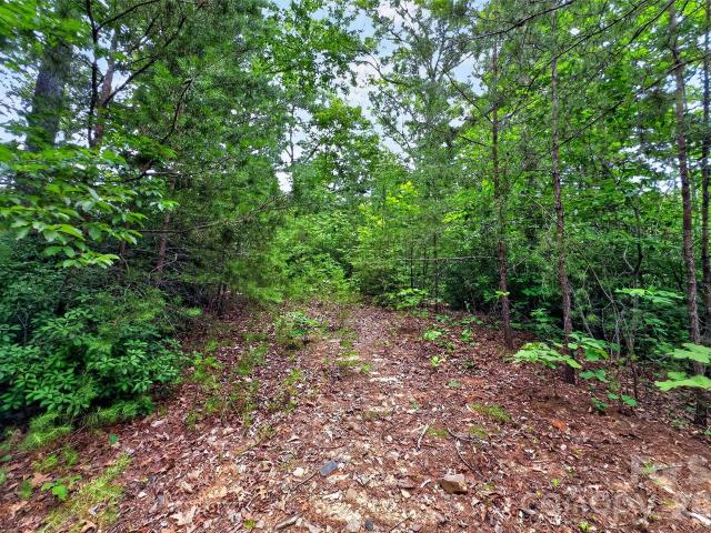 Land for sale in Old Fort, North Carolina