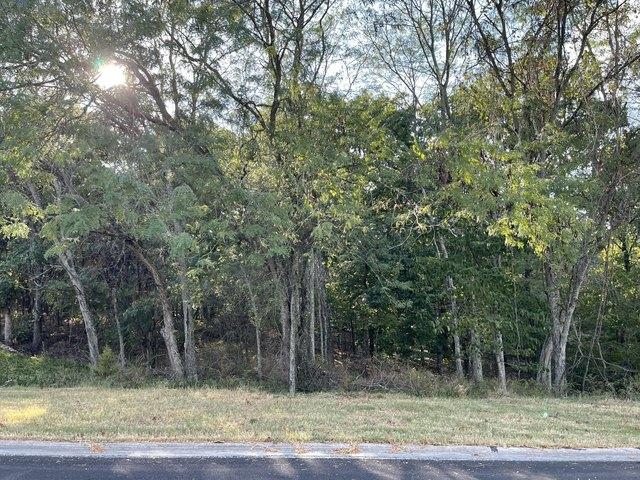 Land for sale in Branson, Missouri